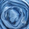 2226 Шерсть для валяния вискоза, 50 г, андромеда